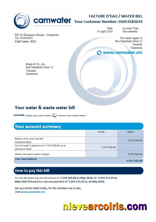 Cameroon Camwater business utility bill